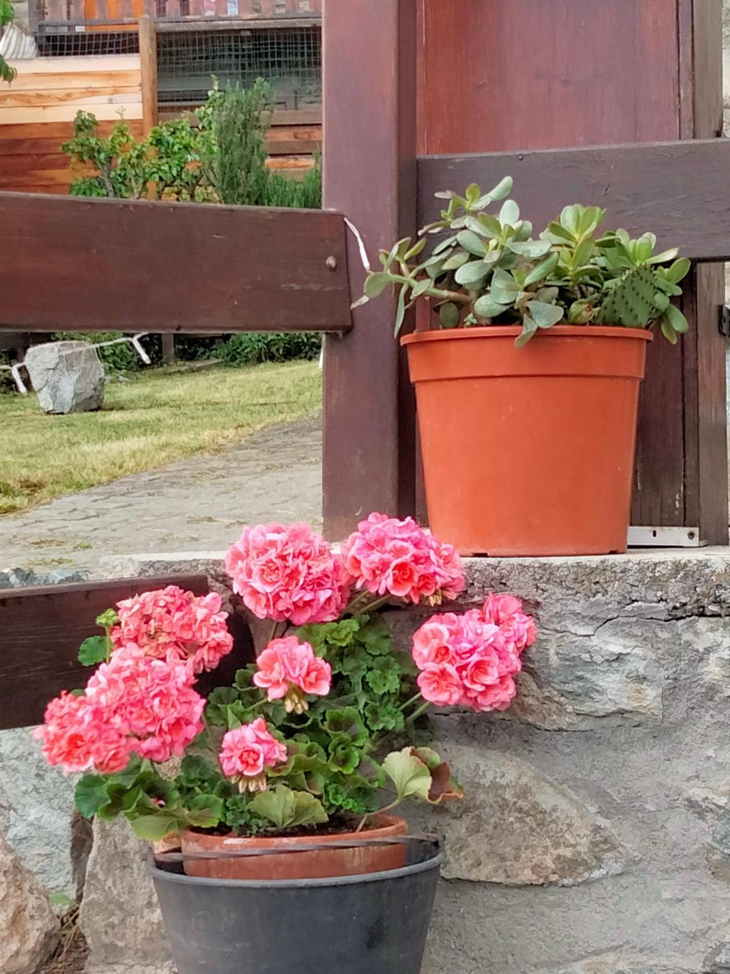 Bed and Breakfast Grand Rive Saint-Pierre Exterior foto