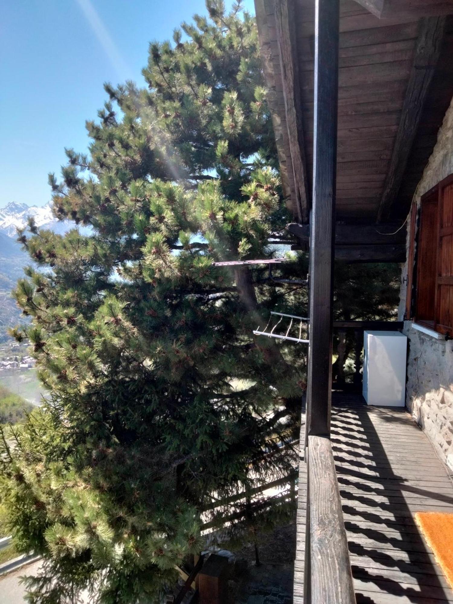 Bed and Breakfast Grand Rive Saint-Pierre Exterior foto